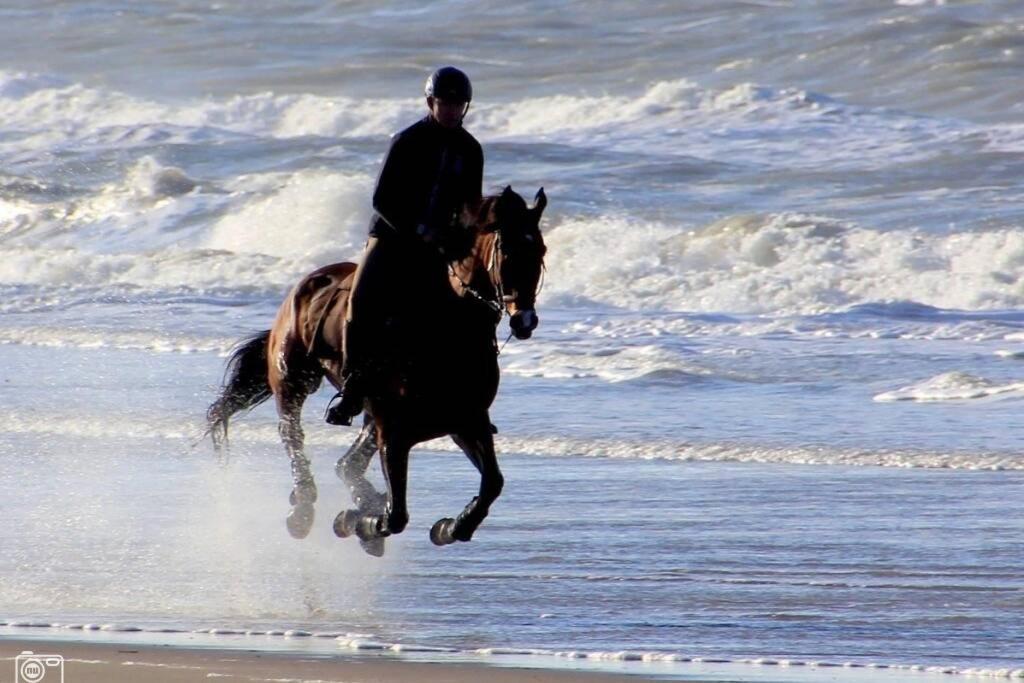 Beachtime Close To The Beach, City Centre ザントフォールト エクステリア 写真